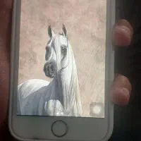 ایفون ۸|موبایل|اهواز, سلطانمنش|دیوار