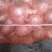 پیاز|خوردنی و آشامیدنی|گوگان, |دیوار