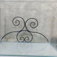 اکواریوم