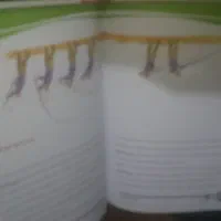 دو کتاب 1ماهیگیری در ایران و دایره المعارف سلاح ها