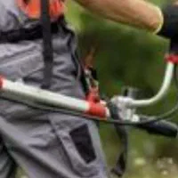 باغ و فضای سبز