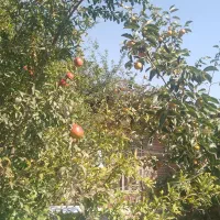 کشنده البرزفرازمعاوزه با550مترخانه گرگان کلاسنگیان|خودرو سنگین|تهران, گرگان|دیوار
