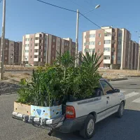 حمل بار پراید وانت|خدمات حمل و نقل|اسفراین, |دیوار