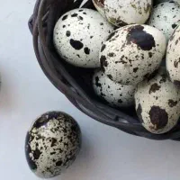 تخم بلدرچین