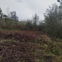 400متر زمین مسکونی نزدیک به رودخانه