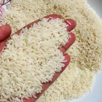 برنج هاشمی دانه بلند