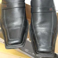 کفش مجلسی|کیف، کفش، کمربند|تبریز, |دیوار