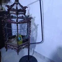 قفس بزرگ
