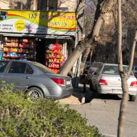 مغازه تجاری بر اصلی دونبش