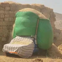 کاه پیچ سبز تازه امسال|حیوانات مزرعه|درودزن, |دیوار