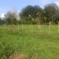 زمین-باغی-مسکونی