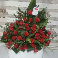 سبد گل رز ۵۰شاخه