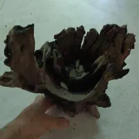 چوب آبنوس|ماهی|تهران, جنتآباد مرکزی|دیوار