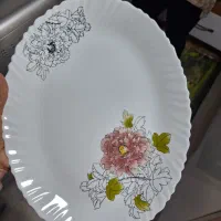 آرکوپال ۱۲ نفره پلمپ|ظروف سرو و پذیرایی|پرند, فاز ۵|دیوار