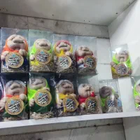 گیفت الفبا|صنایع دستی و سایر لوازم تزئینی|تهران, بهداشت|دیوار