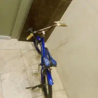 دوچرخه 16مارک نئون