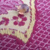 سنگ یاقوت زردوحدید