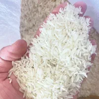 برنج فجر سوزنی گرگان|خوردنی و آشامیدنی|تهران, جمهوری|دیوار