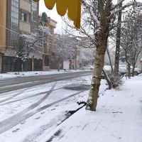 مغازه 40 متر تجاری دائم سند شش دانگ ،سرویس بهداشتی|فروش مغازه و غرفه|مشهد, شهید مطهری|دیوار