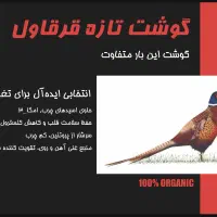 گوشت خاص|خوردنی و آشامیدنی|تهران, زعفرانیه|دیوار