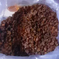 روغن زرد گوسفندی ماست پنیر پوستی درجه یک|خوردنی و آشامیدنی|گلبهار, شهر جدید گلبهار|دیوار
