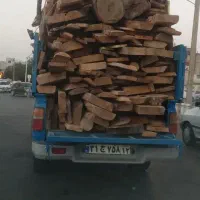 قطع درخت در داخل و اطراف مشهد خرید درخت نقدی|خدمات باغبانی و درختکاری|مشهد, الهیه|دیوار
