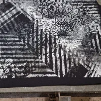 شابلون زن و عکاس ماهر