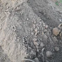 خاک باغچه مرغوب