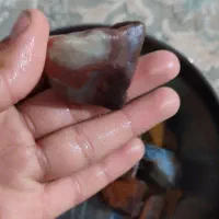 سنگ|کلکسیون اشیاء عتیقه|بم, |دیوار