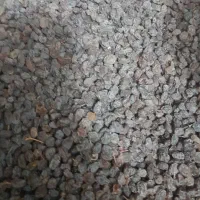 کشمش تمیز و پاک کرده بسته بندی شده