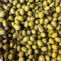 پوست باقالی