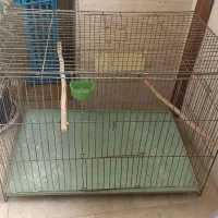 قفس سایز  بزرگ