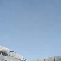 نیاز به 3 نفر در تکثیر میگو