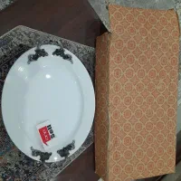 ظروف پذیرایی کاملا نو