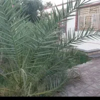 اجاره خانه100متری دربم