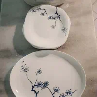 سرویس غذاخوری