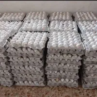 تخم مرغ درجه یک