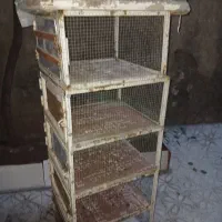 قفس جفتی|لوازم جانبی حیوانات|قزوین, |دیوار