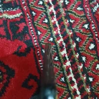 a12|موبایل|جلین, |دیوار
