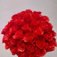 گل رز پارچه ای  مصنوعی|گل مصنوعی|قم, باجک یک|دیوار