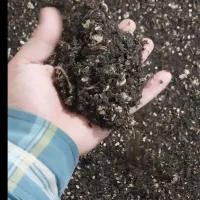 نیازمند دو نیرو کار جهت کارگاه تولید خاک می باشم