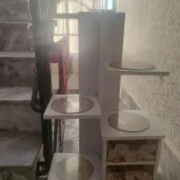 پایه قابلمه|آبچکان و نظمدهنده ظروف|مشهد, خواجه ربیع|دیوار