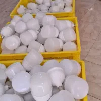 لامپ 50وات و 60وات زیر قیمت کل مشهد