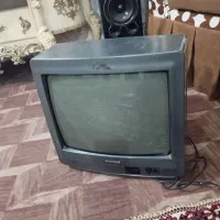 تلویزیون