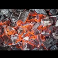 4عدد زغال فروشی