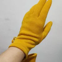 دستکش زنانه|لباس|رشت, باهنر|دیوار