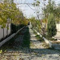 قطعه-باغ-240متر-تا-380متر-سند-تک-برگ-laquo-حیدری-raquo