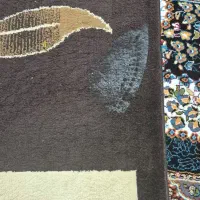 فرش ۹ متری بزرگمهر|فرش|تربت جام, مطهری|دیوار