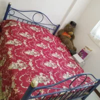 تخت دونفره|تخت و سرویس خواب|شاهرود, |دیوار