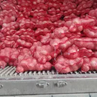 اخذ کارت بازرگانی .صادرات و واردات محصولات کشاورزی